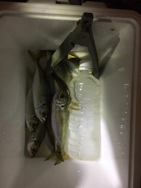 底ベタアジング！