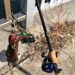 お散歩イイダコ釣り