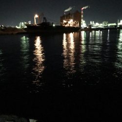 ビフテキ初チャレンジ^_^