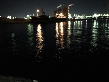 ビフテキ初チャレンジ^_^