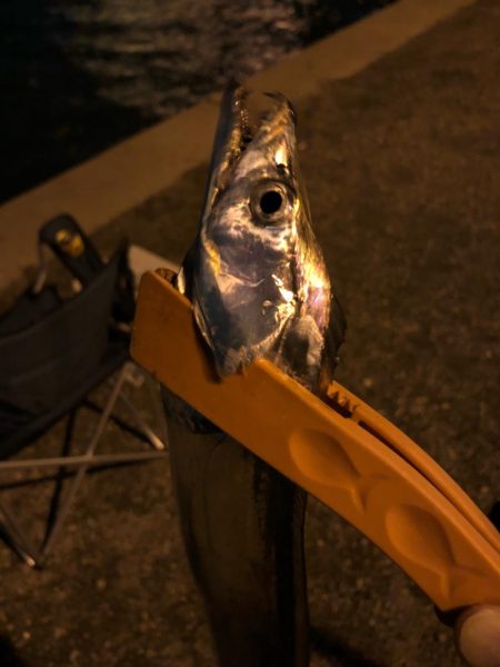 釣れてよかった