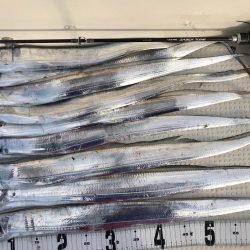 タチウオジギング  鯛ラバ