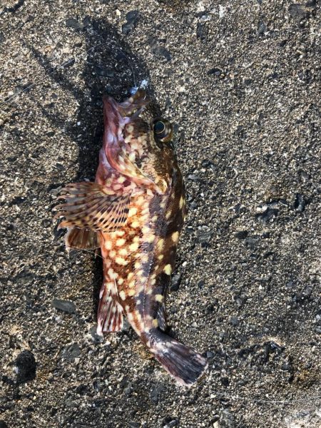 ミップル様周辺にて。