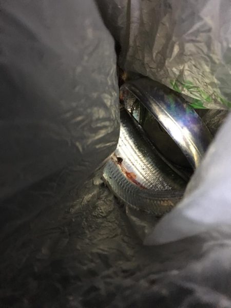 潮は悪いが何とか釣れました。