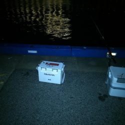 相変わらず渋い