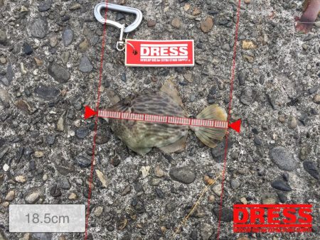 爆釣丸ハゲの快