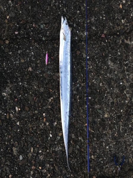 ドラゴン級！？釣れてびっくり！