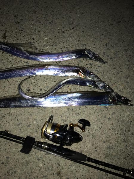 アタリはあるけど渋かった…