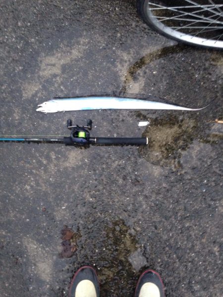 強風の中、太刀魚ジギング