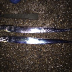 寒くて2時間で撤退（≧∇≦）