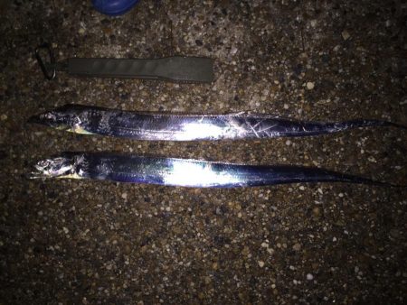 寒くて2時間で撤退（≧∇≦）