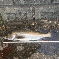 橋の下サイコー