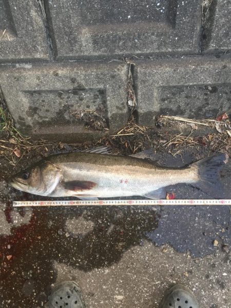 橋の下サイコー