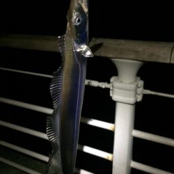 4時頃に活性高い