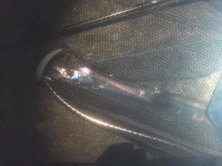 タチウオまだなんとか！