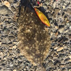 強風の中でジギング