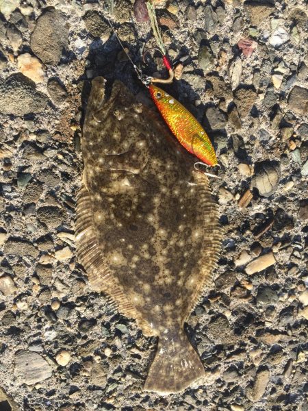 強風の中でジギング