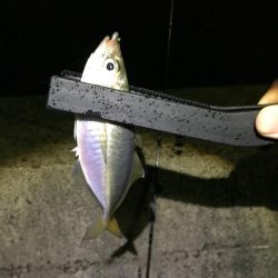 爆風ライトゲーム