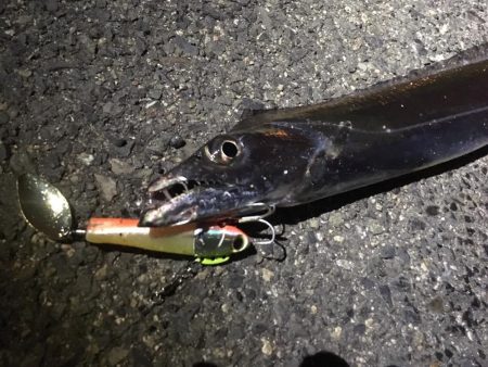 風が強いです。