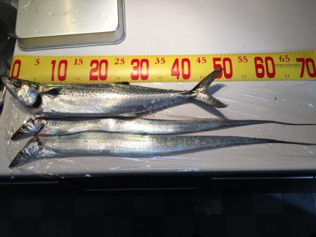 爆風までの釣行