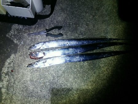 暴風の中、ジグでタチウオ