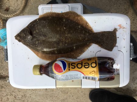 カレイ投げ釣り