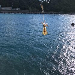 リリースサイズしか釣れません…