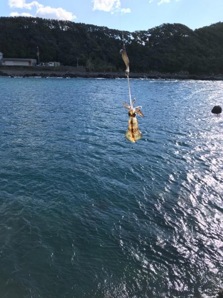 リリースサイズしか釣れません…