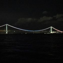 激流の中、やっとの１本です