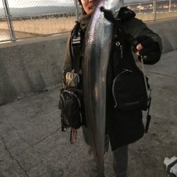 ドラゴンに1本及ばず！