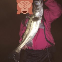 サヨリパターン のシーバス