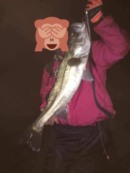 サヨリパターン のシーバス