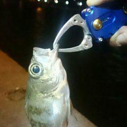 爆風ライトゲーム