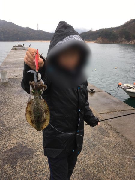 最後のイカ釣り旅行