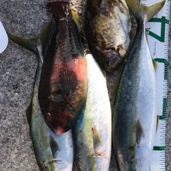 御五神島 フカセ&ルアー