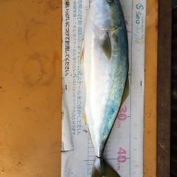 船からインチク