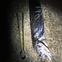 アタリが少ない