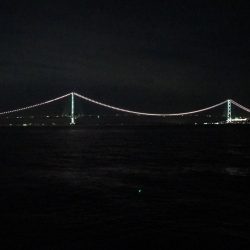 タチウオ渋いです。