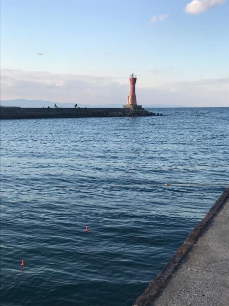 仕事帰りにサビキ