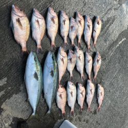 はまの浦釣り堀