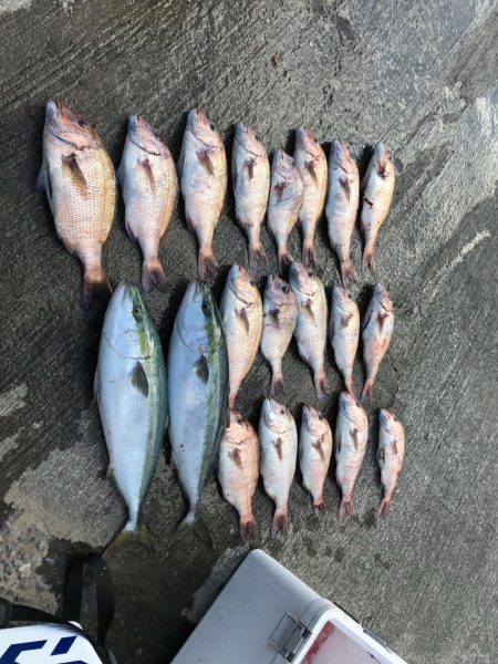 はまの浦釣り堀