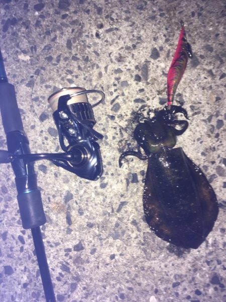 短時間エギング