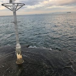 大野漁港 根魚ライトゲーム