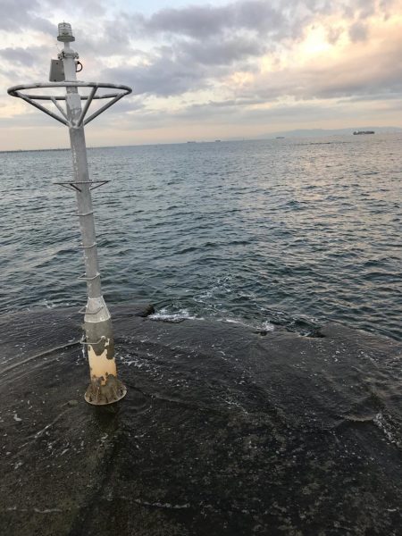 大野漁港 根魚ライトゲーム