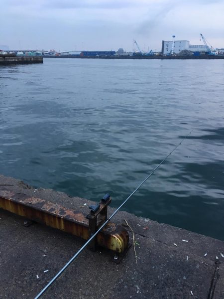 朝マズメ2時間勝負