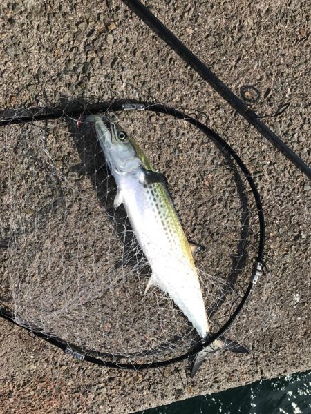 桃源郷は爆風の向こう側