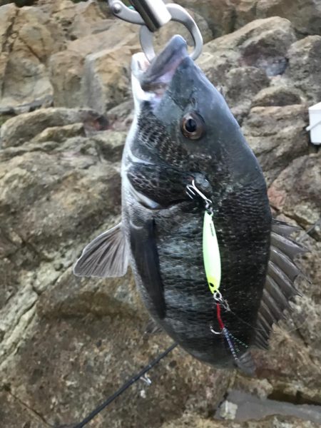 遅刻で釣り場変更