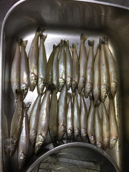 キス、キス、キス。