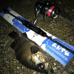 ンメェヴァルィング！