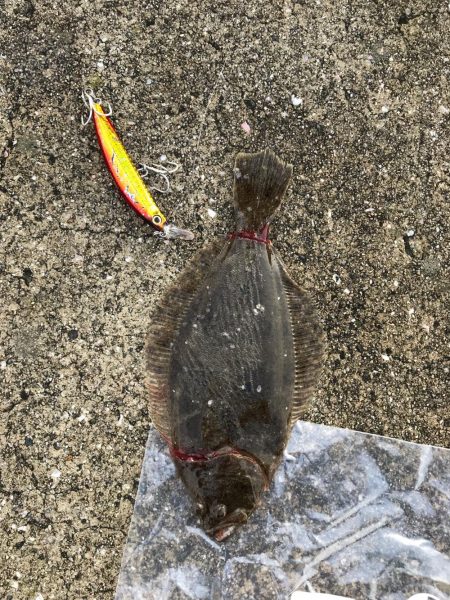 ソゲゲットです!!